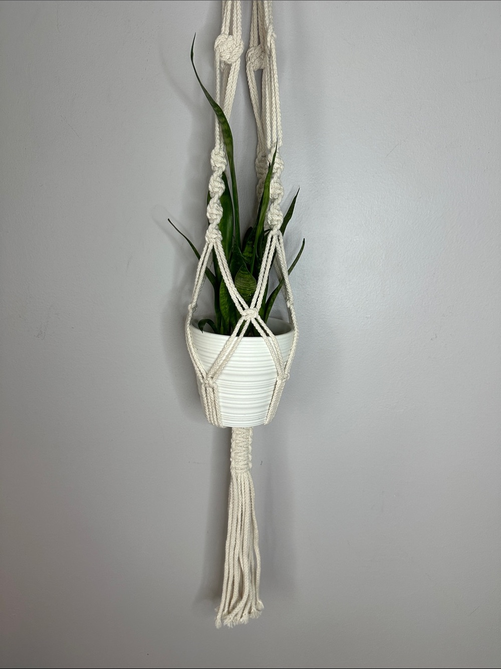 Handmade Macrame Plant Hanger - Cream
